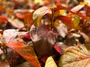 Energizing Workspaces: The Role of Sustainable Color Palettes Photo